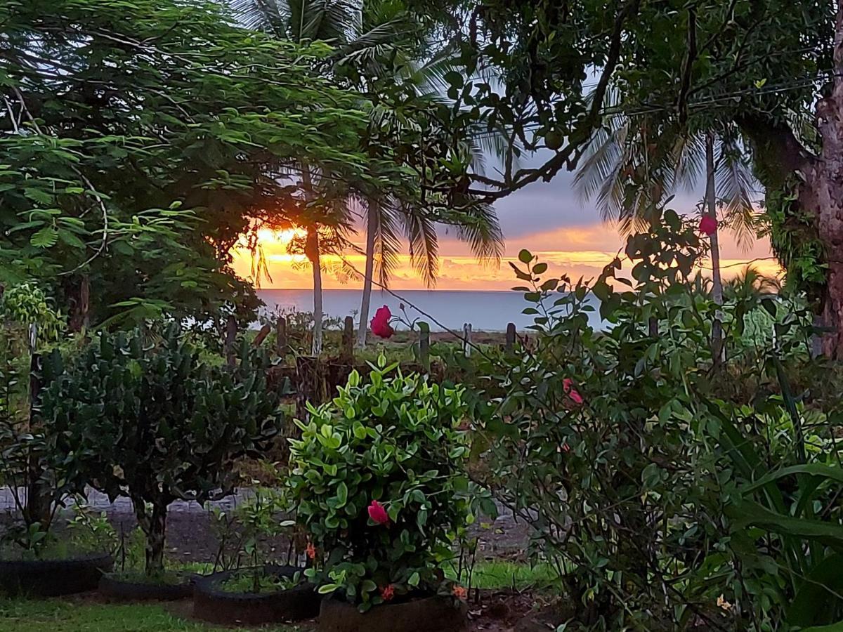 Hotel Gitana Corcovado, Y Tour Operador Drakes Bay Esterno foto