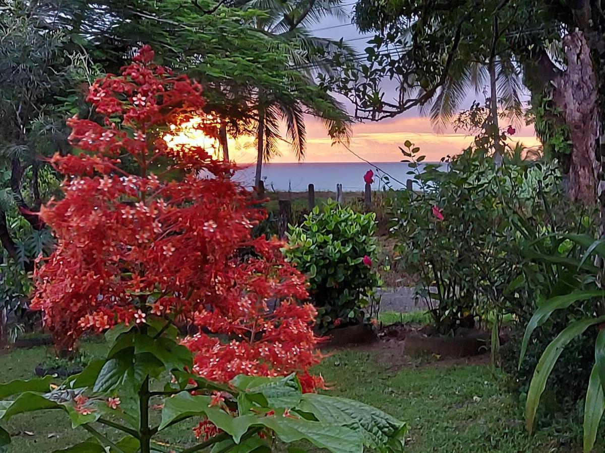 Hotel Gitana Corcovado, Y Tour Operador Drakes Bay Esterno foto