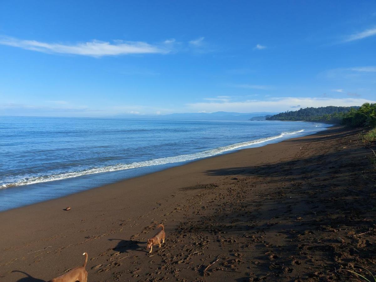 Hotel Gitana Corcovado, Y Tour Operador Drakes Bay Esterno foto